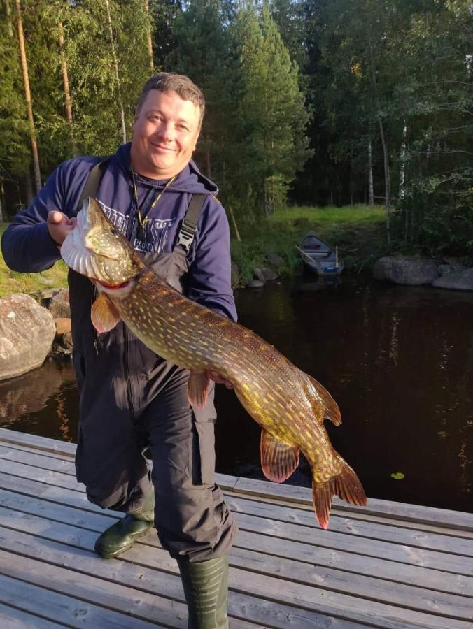 Viihtyisae Hirsimoekki Jaerven Rannalla Siikainen 외부 사진